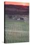 Australia, Clare Valley, Clare, Elevated View of Vineyards-Walter Bibikow-Stretched Canvas