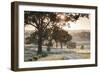 Australia, Clare Valley, Clare, Gum Trees by Brooks Lookout, Dawn-Walter Bibikow-Framed Photographic Print