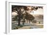 Australia, Clare Valley, Clare, Gum Trees by Brooks Lookout, Dawn-Walter Bibikow-Framed Photographic Print