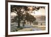 Australia, Clare Valley, Clare, Gum Trees by Brooks Lookout, Dawn-Walter Bibikow-Framed Photographic Print