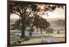 Australia, Clare Valley, Clare, Gum Trees by Brooks Lookout, Dawn-Walter Bibikow-Framed Photographic Print