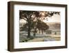 Australia, Clare Valley, Clare, Gum Trees by Brooks Lookout, Dawn-Walter Bibikow-Framed Photographic Print