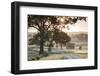 Australia, Clare Valley, Clare, Gum Trees by Brooks Lookout, Dawn-Walter Bibikow-Framed Photographic Print