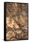 Australia, Clare Valley, Sevenhill, Old Bicycle-Walter Bibikow-Framed Stretched Canvas