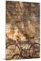 Australia, Clare Valley, Sevenhill, Old Bicycle-Walter Bibikow-Mounted Premium Photographic Print