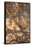 Australia, Clare Valley, Sevenhill, Old Bicycle-Walter Bibikow-Framed Stretched Canvas