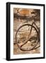 Australia, Clare Valley, Sevenhill, Old Bicycle-Walter Bibikow-Framed Photographic Print