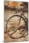 Australia, Clare Valley, Sevenhill, Old Bicycle-Walter Bibikow-Mounted Photographic Print