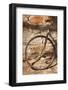 Australia, Clare Valley, Sevenhill, Old Bicycle-Walter Bibikow-Framed Photographic Print