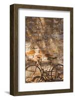 Australia, Clare Valley, Sevenhill, Old Bicycle-Walter Bibikow-Framed Photographic Print