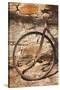 Australia, Clare Valley, Sevenhill, Old Bicycle-Walter Bibikow-Stretched Canvas