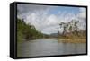 Australia, Daintree National Park, Daintree River. Rainforest-Cindy Miller Hopkins-Framed Stretched Canvas