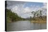Australia, Daintree National Park, Daintree River. Rainforest-Cindy Miller Hopkins-Stretched Canvas