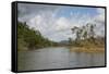 Australia, Daintree National Park, Daintree River. Rainforest-Cindy Miller Hopkins-Framed Stretched Canvas