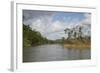 Australia, Daintree National Park, Daintree River. Rainforest-Cindy Miller Hopkins-Framed Photographic Print