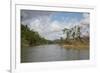 Australia, Daintree National Park, Daintree River. Rainforest-Cindy Miller Hopkins-Framed Photographic Print