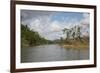 Australia, Daintree National Park, Daintree River. Rainforest-Cindy Miller Hopkins-Framed Photographic Print