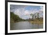 Australia, Daintree National Park, Daintree River. Rainforest-Cindy Miller Hopkins-Framed Photographic Print