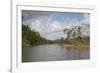 Australia, Daintree National Park, Daintree River. Rainforest-Cindy Miller Hopkins-Framed Photographic Print