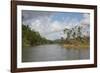 Australia, Daintree National Park, Daintree River. Rainforest-Cindy Miller Hopkins-Framed Photographic Print