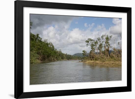 Australia, Daintree National Park, Daintree River. Rainforest-Cindy Miller Hopkins-Framed Photographic Print