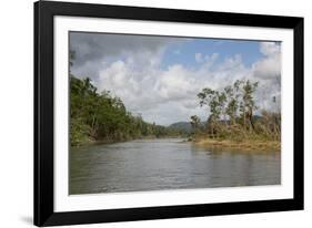 Australia, Daintree National Park, Daintree River. Rainforest-Cindy Miller Hopkins-Framed Photographic Print