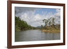 Australia, Daintree National Park, Daintree River. Rainforest-Cindy Miller Hopkins-Framed Photographic Print