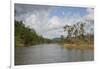 Australia, Daintree National Park, Daintree River. Rainforest-Cindy Miller Hopkins-Framed Photographic Print