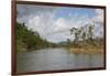 Australia, Daintree National Park, Daintree River. Rainforest-Cindy Miller Hopkins-Framed Photographic Print