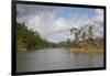 Australia, Daintree National Park, Daintree River. Rainforest-Cindy Miller Hopkins-Framed Photographic Print