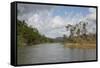 Australia, Daintree National Park, Daintree River. Rainforest-Cindy Miller Hopkins-Framed Stretched Canvas