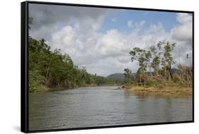 Australia, Daintree National Park, Daintree River. Rainforest-Cindy Miller Hopkins-Framed Stretched Canvas