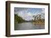 Australia, Daintree National Park, Daintree River. Rainforest-Cindy Miller Hopkins-Framed Photographic Print