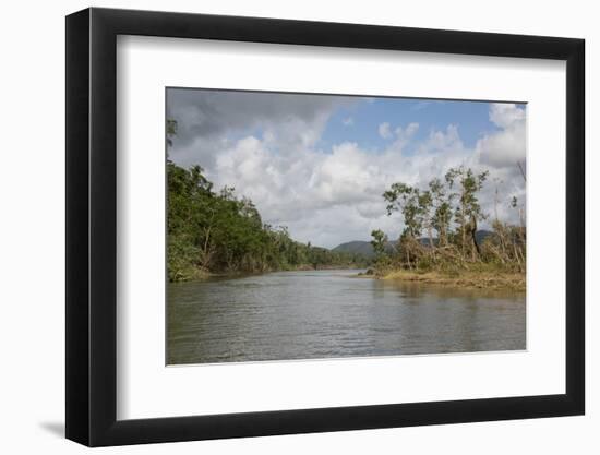 Australia, Daintree National Park, Daintree River. Rainforest-Cindy Miller Hopkins-Framed Photographic Print