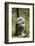 Australia, Darwin. Territory Wildlife Park. Tawny Frogmouth-Cindy Miller Hopkins-Framed Photographic Print