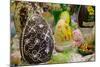 Australia. Easter Display of Decorated Chocolate Eggs and Candy-Cindy Miller Hopkins-Mounted Photographic Print