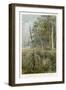 Australia : Eucalyptus Grove and Grass-Trees-null-Framed Art Print