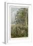 Australia : Eucalyptus Grove and Grass-Trees-null-Framed Art Print