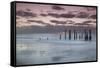 Australia, Fleurieu Peninsula, Port Willunga, Old Jetty, Dusk-Walter Bibikow-Framed Stretched Canvas