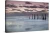 Australia, Fleurieu Peninsula, Port Willunga, Old Jetty, Dusk-Walter Bibikow-Stretched Canvas