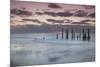 Australia, Fleurieu Peninsula, Port Willunga, Old Jetty, Dusk-Walter Bibikow-Mounted Photographic Print