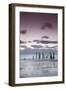 Australia, Fleurieu Peninsula, Port Willunga, Old Jetty, Dusk-Walter Bibikow-Framed Photographic Print