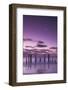 Australia, Fleurieu Peninsula, Port Willunga, Old Jetty, Dusk-Walter Bibikow-Framed Photographic Print