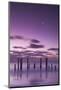 Australia, Fleurieu Peninsula, Port Willunga, Old Jetty, Dusk-Walter Bibikow-Mounted Photographic Print