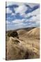 Australia, Fleurieu Peninsula, Rapid Bay, Landscape-Walter Bibikow-Stretched Canvas