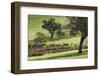 Australia, Fleurieu Peninsula, Rapid Bay, Landscape-Walter Bibikow-Framed Photographic Print