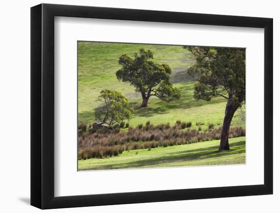 Australia, Fleurieu Peninsula, Rapid Bay, Landscape-Walter Bibikow-Framed Photographic Print