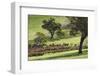 Australia, Fleurieu Peninsula, Rapid Bay, Landscape-Walter Bibikow-Framed Photographic Print