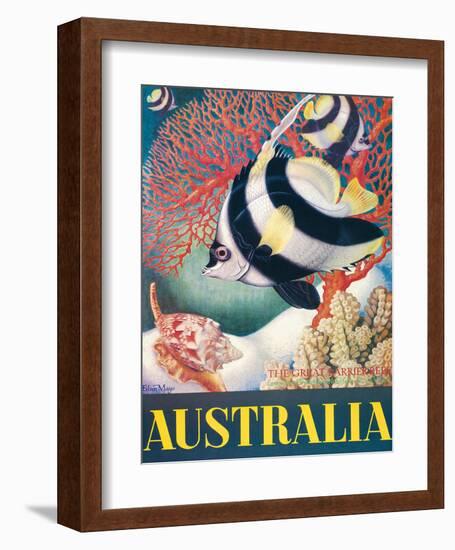 Australia, Great Barrier Reef c.1956-Eileen Mayo-Framed Giclee Print