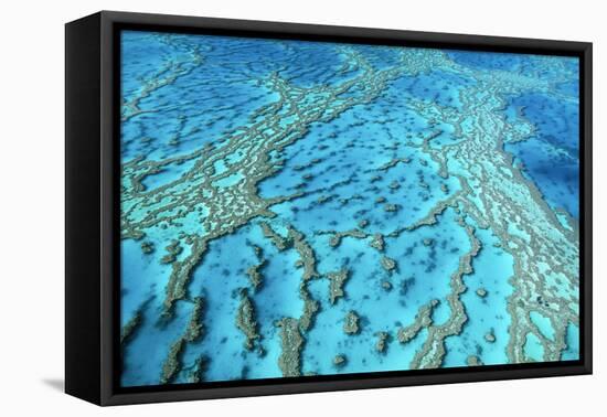 Australia Great Barrier Reef Hardy Reef-null-Framed Stretched Canvas